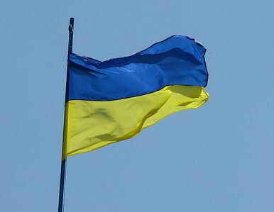 Miniatura: Cimoszewicz: Nie narzucimy się Ukrainie