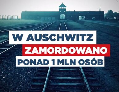 Miniatura: Spot PiS ze zdjęciami Auschwitz...