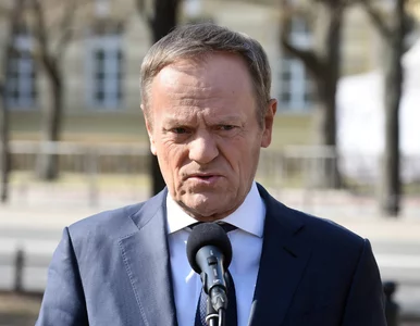 Miniatura: Donald Tusk domaga się wsparcia dla...