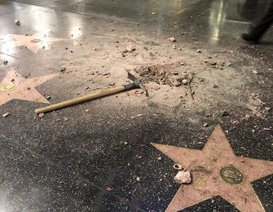 Miniatura: Gwiazda Donalda Trumpa znowu zniszczona....