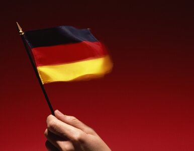 Miniatura: "Niemcy są jedynym narodem, który chce i...
