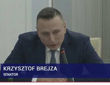 Miniatura: Krzysztof i Dorota Brejzowie przed senacką...