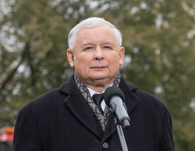 Miniatura: Kaczyński: W PO nie umieją liczyć, czy...