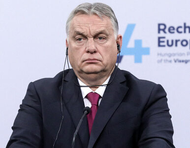 Zacięta walka o władzę na Węgrzech. Wyniki sondażu pokazują, że Orban...