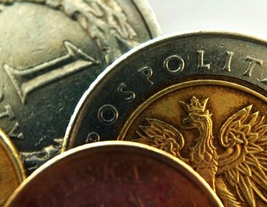 Miniatura: Polska gospodarka rośnie wolniej