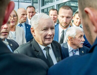 Miniatura: Kaczyński i Tusk w jednym marszu? Jasna...