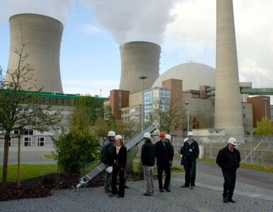 Miniatura: Za 10 lat Niemcy zrezygnują z atomu?