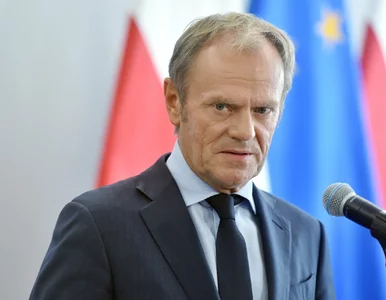 Miniatura: Donald Tusk komentuje projekt dotyczący...