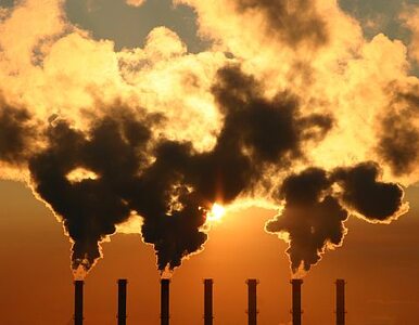 Miniatura: PiS o CO2: dlaczego rząd nie szuka...