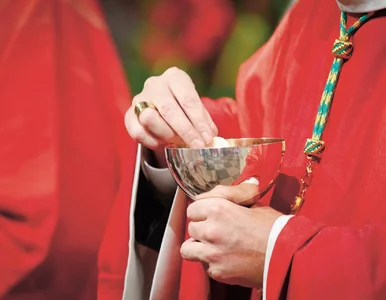 Miniatura: Synod nie zerwie z doktryną