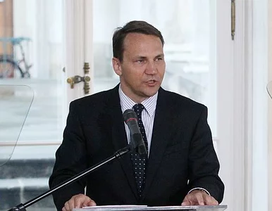 Miniatura: Sikorski: Polska może być wzorem dla...