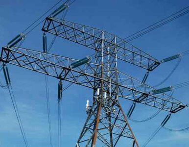 Miniatura: PiS ostrzega: ceny prądu mogą wzrosnąć o...