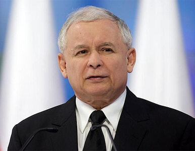 Miniatura: Kaczyński nie chce być w Radzie...
