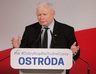 Jarosław Kaczyński ponownie uderzył w opozycję. „Zachowują się jak banda...