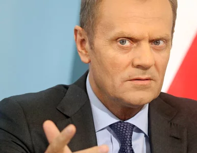 Miniatura: Tusk: jesteśmy tu, by ci od "ukrytej opcji...