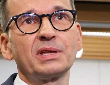 Miniatura: Taśmy Mraza. Morawiecki do Romanowskiego:...