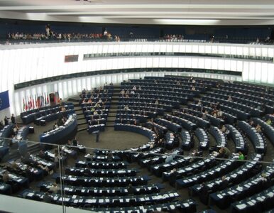Miniatura: W styczniu w Parlamencie Europejskim...