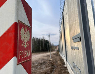 Miniatura: Cudzoziemcy napierają na granicę Polski....