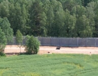 Miniatura: Zapora na granicy z Białorusią ma już 140...