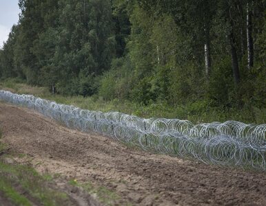 Miniatura: Płot na granicy z  Białorusią może...