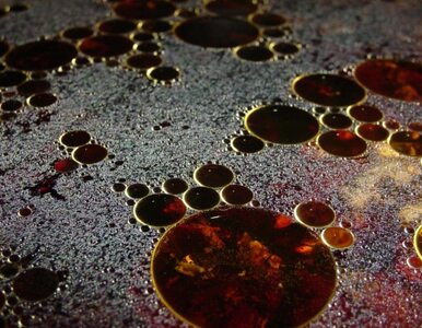 Miniatura: Libia wciąż eksportuje ropę