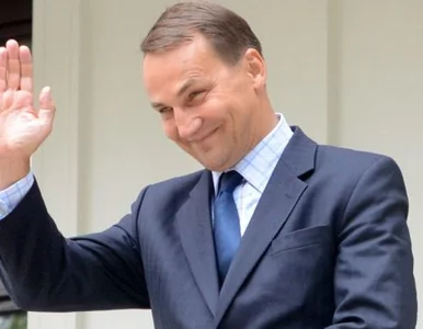 Miniatura: Sikorski: odnieśliśmy sukcesy w...