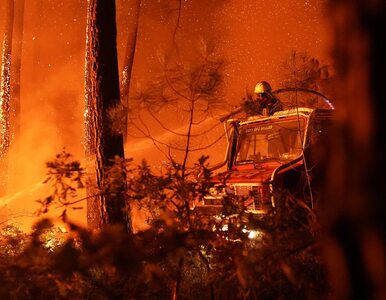 Dramatyczne pożary we Francji. Polscy strażacy jadą z pomocą