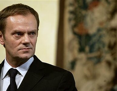 Miniatura: Tusk nie stracił poparcia wyborców