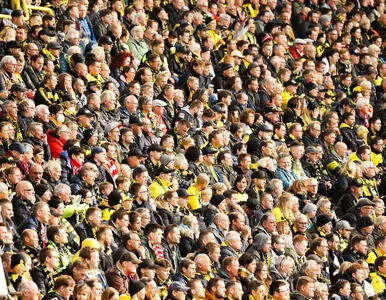 Miniatura: Stadiony w Niemczech znowu puste? Borussia...