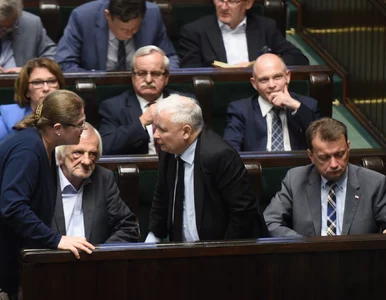 Miniatura: Posłanka PiS już wie, kto odpowiada za...