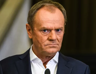 Miniatura: Tusk odniósł się do wypuszczenia...