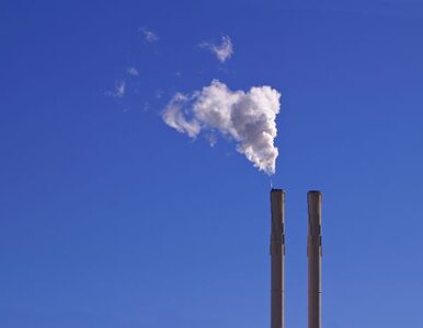 Miniatura: Unia pozwoliła - Polska może emitować CO2
