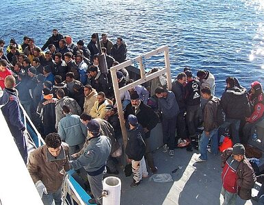 Miniatura: Lampedusę zalewają imigranci. W ciągu doby...
