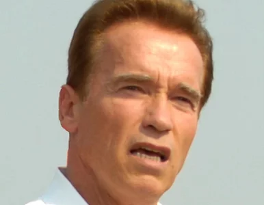 Miniatura: Schwarzenegger z misją handlową w Rosji