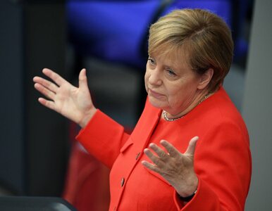 Miniatura: Pomidorami w kanclerz Merkel. Incydent na...