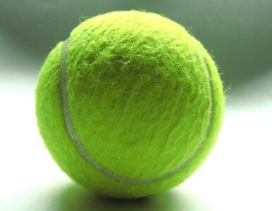 Miniatura: Janowicz: grałem niewiarygodny tenis