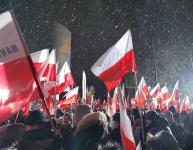Miniatura: NA ŻYWO: „Protest Wolnych Polaków” przed...