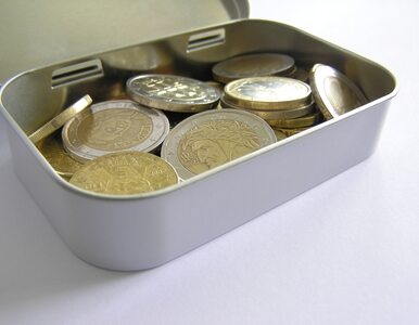 Miniatura: Czarnecki: euro? Poczekajmy z tym problemem