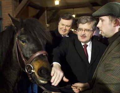 "Czemu Komorowski podarował Janukowyczowi konie?"