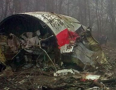 Miniatura: Roth: Tu-154M mógł zostać zniszczony w...