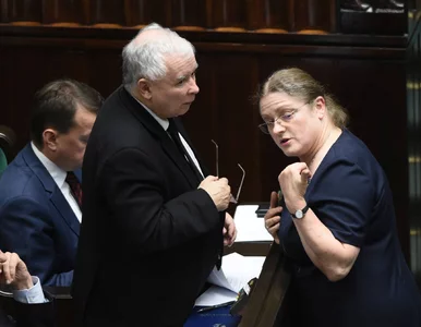 Miniatura: Pawłowicz zdradziła plany PiS? „Po...