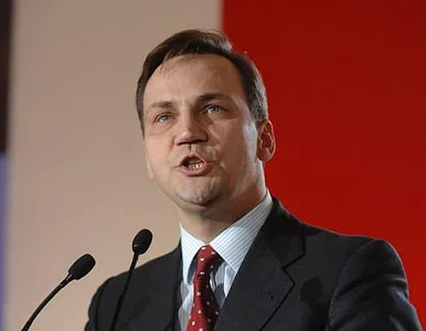 Miniatura: Sikorski o spotkaniu z Ławrowem: jest...