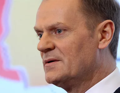 Miniatura: Tusk: przestępcy seksualni są w Polsce...