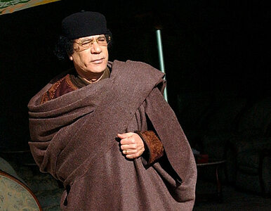 Miniatura: Kadafi chciał otworzyć farmę piękności