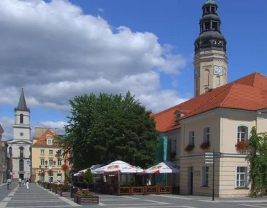 Miniatura: W Lubuskiem najwięcej zyskał SLD