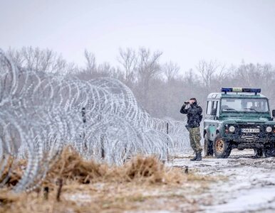Miniatura: Służby białoruskie instruowały migrantów....