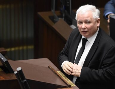 Miniatura: Kaczyński ostro o apelu o...