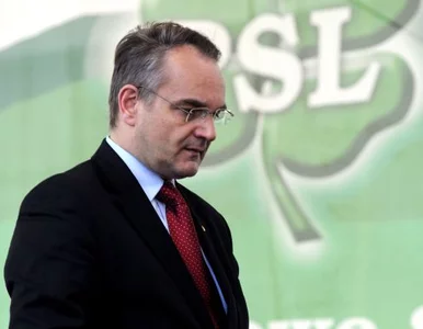 Miniatura: Pawlak: PSL będzie broniło konstytucji i...