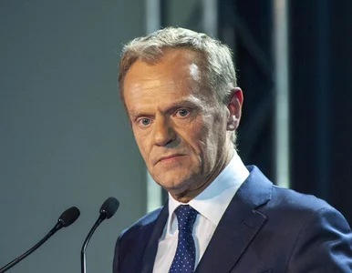 Miniatura: Donald Tusk wywołał skandal na Wyspach....