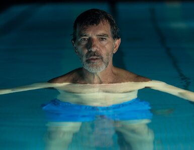 „Ból i blask” Pedro Almodovara hiszpańskim kandydatem do Oscara